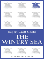 The Wintry Sea