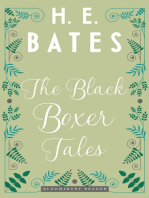 The Black Boxer Tales