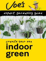 Indoor Green: Beginner’s guide to caring for houseplants