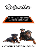 Rottweiler: 100 Fun Facts About the Amazing Rottweiler