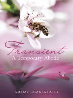 Transient – a Temporary Abode