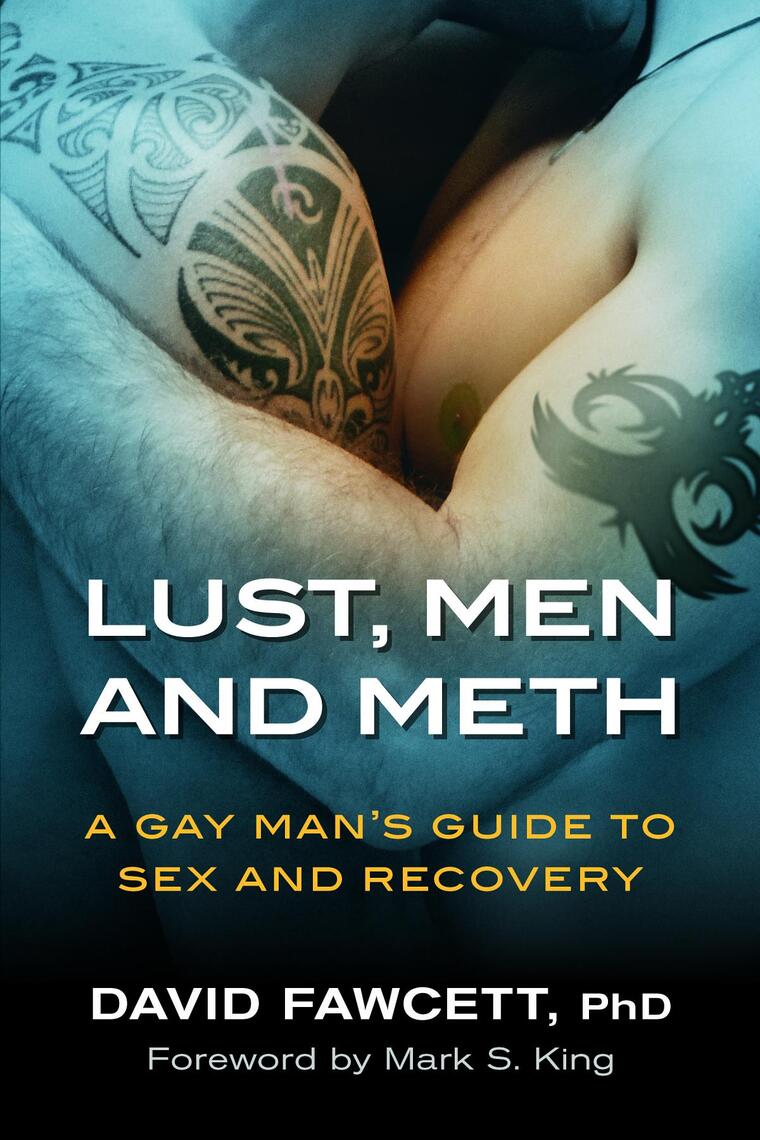 Lust, Men, and Meth by David M Fawcett pic