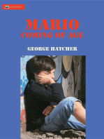 Mario 2: Coming of Age