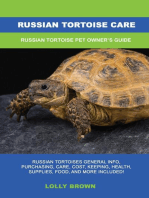 Russian Tortoise Care