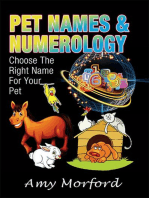 Pet Names and Numerology