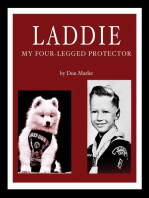 Laddie: My Four-Legged Protector