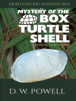 Mystery of the Box Turtle Shell