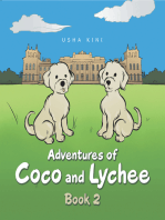 Adventures of Coco and Lychee: Book 2