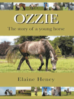 Ozzie: The Story of a Young Horse