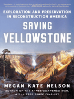 Saving Yellowstone