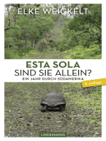Esta Sola. Sind Sie allein?: Ein Jahr durch Südamerika