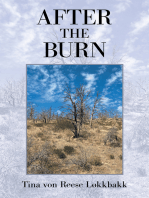 After the Burn