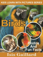 Birds Photos and Fun Facts for Kids