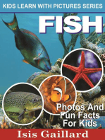 Fish Photos and Fun Facts for Kids