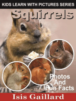 Squirrels Photos and Fun Facts for Kids