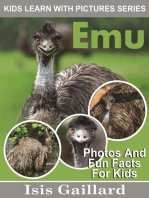 Emu Photos and Fun Facts for Kids