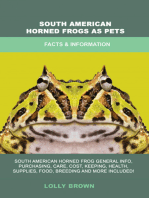 South American Horned Frogs as Pets