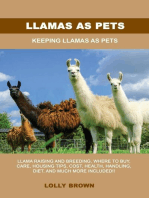 Llamas as Pets