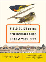 Field Guide to the Neighborhood Birds of New York City