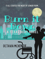 Burn it Down: Texas Heat, #4