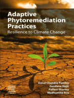 Adaptive Phytoremediation Practices: Resilience to Climate Change