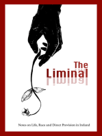 The Liminal: Notes on Life, Race and Direct Provision in Ireland