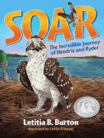 Soar: The Incredible Journey of Hendrix and Ryder