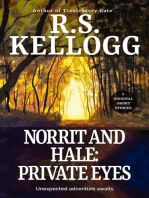 Norrit and Hale: Private Eyes: Norrit and Hale, #2