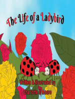 The Life of a Ladybird: Life in a Meadow, #3