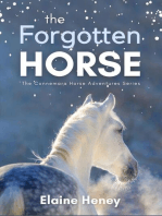 The Forgotten Horse: Connemara Horse Adventures, #1