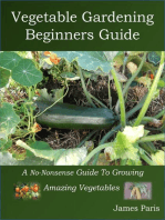 Vegetable Gardening Beginners Guide