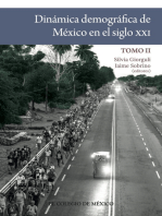 Dinámica demográfica de México en el siglo XXI: Tomo II