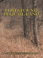 Lost&Found in Quail Land