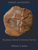 Haikus and Photos: Mystery Stone's Animal Forms: Shenandoan Stone: Haikus & Photos, #4