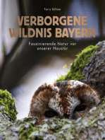 Verborgene Wildnis Bayern: Faszinierende Natur vor unserer Haustür