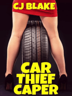 Car Thief Caper