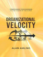 Organizational Velocity: Turbocharge Your Business to Stay Ahead of the Curve
