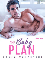 The Baby Plan (Book Two): The Baby Plan, #2