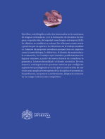 Investigación y formación de docentes en español como lengua extranjera