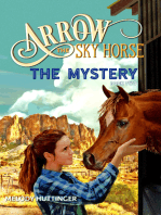 Arrow the Sky Horse