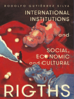 International Institutions and social, economic and cultural rights