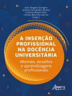 A Inserção Profissional na Docência Universitária