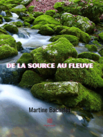 De la source au fleuve