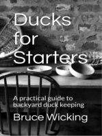 Ducks for Starters