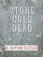 Stone Cold Dead: An Iris DeVere Mystery
