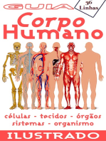 Guia 36 - Corpo Humano