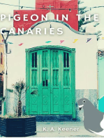 Pigeon in the Canaries