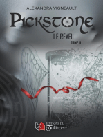 Pickstone - Tome 2: Le réveil