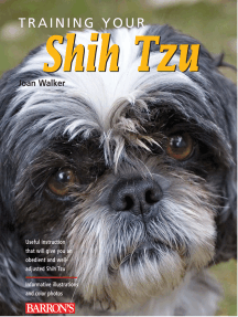 The Complete Guide to Shih Tzu Dogs: Learn Everything You Need to