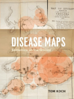Disease Maps: Epidemics on the Ground